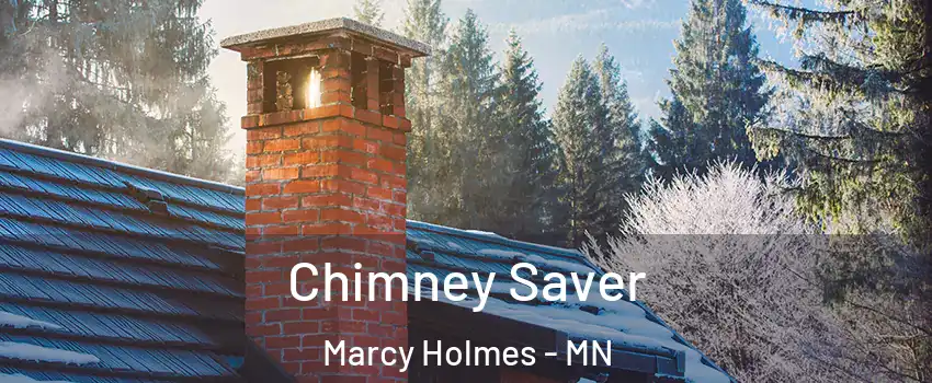 Chimney Saver Marcy Holmes - MN