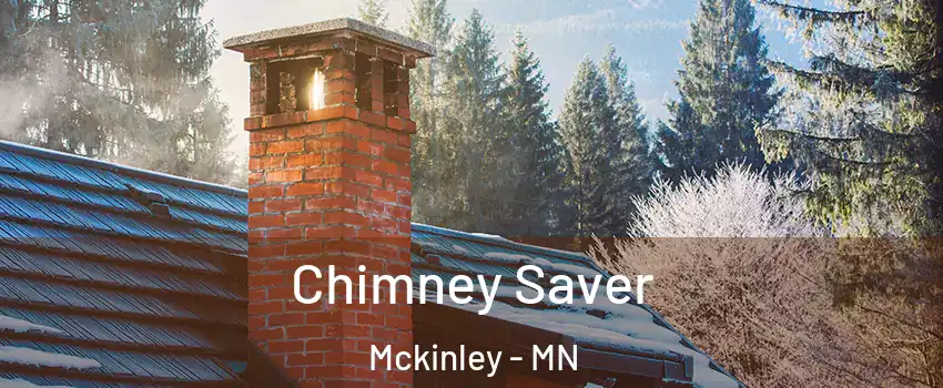 Chimney Saver Mckinley - MN