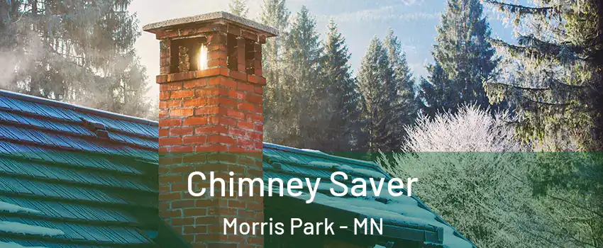 Chimney Saver Morris Park - MN