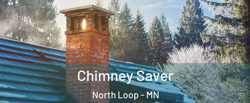 Chimney Saver North Loop - MN