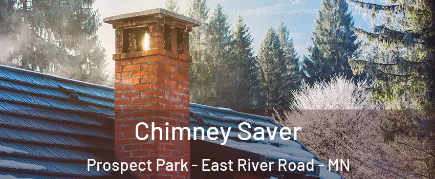 Chimney Saver Prospect Park - East River Road - MN