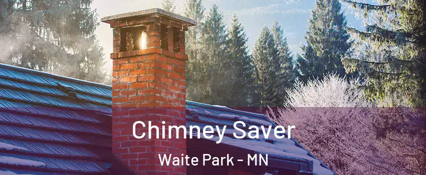 Chimney Saver Waite Park - MN