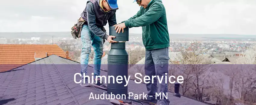 Chimney Service Audubon Park - MN