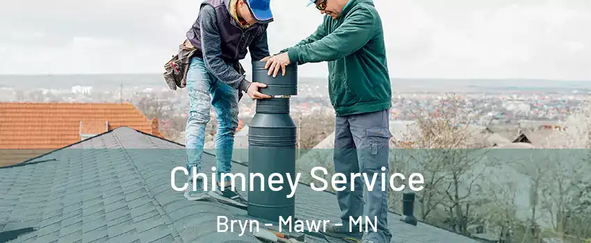 Chimney Service Bryn - Mawr - MN