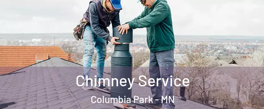 Chimney Service Columbia Park - MN
