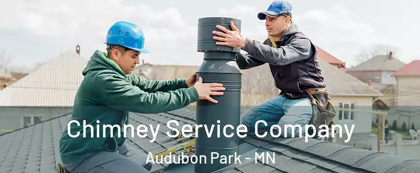 Chimney Service Company Audubon Park - MN