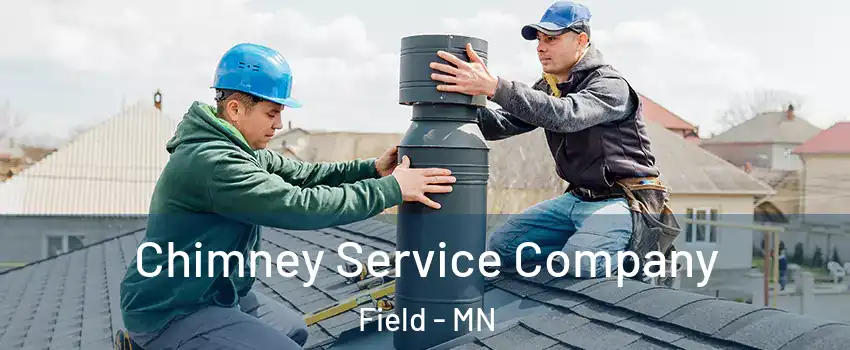 Chimney Service Company Field - MN