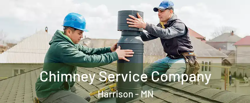 Chimney Service Company Harrison - MN