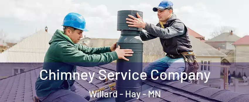 Chimney Service Company Willard - Hay - MN