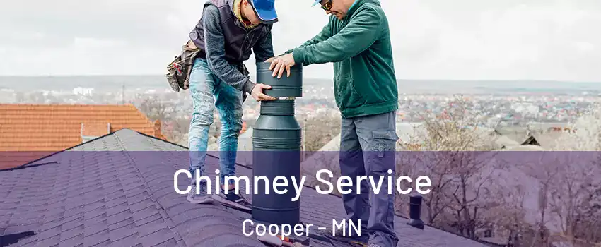 Chimney Service Cooper - MN
