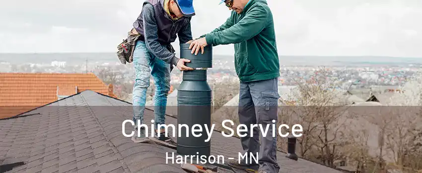 Chimney Service Harrison - MN
