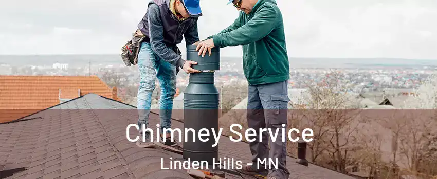 Chimney Service Linden Hills - MN