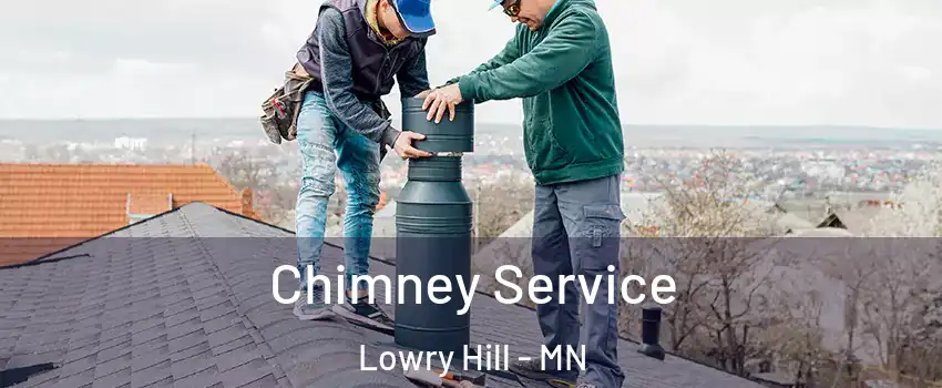 Chimney Service Lowry Hill - MN