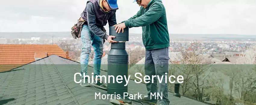 Chimney Service Morris Park - MN