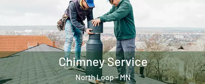 Chimney Service North Loop - MN
