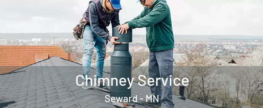 Chimney Service Seward - MN