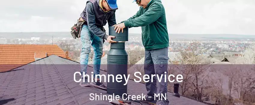 Chimney Service Shingle Creek - MN