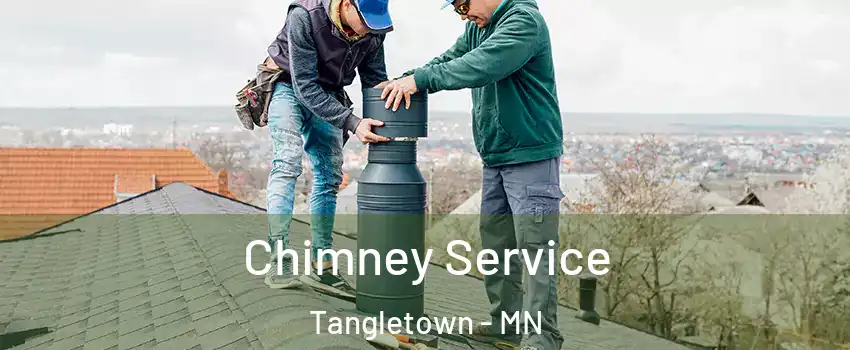 Chimney Service Tangletown - MN