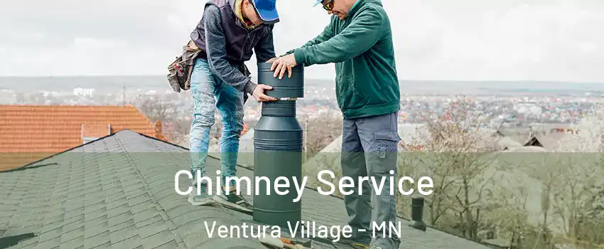 Chimney Service Ventura Village - MN