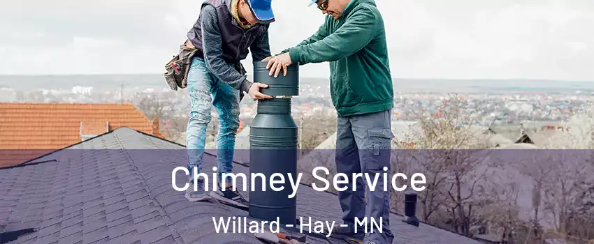 Chimney Service Willard - Hay - MN