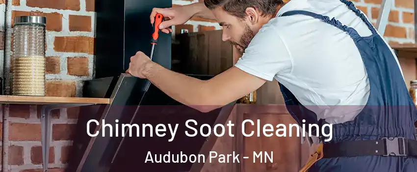 Chimney Soot Cleaning Audubon Park - MN