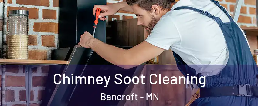 Chimney Soot Cleaning Bancroft - MN