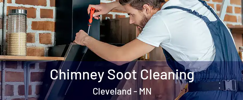 Chimney Soot Cleaning Cleveland - MN
