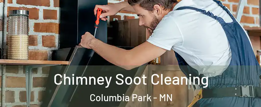 Chimney Soot Cleaning Columbia Park - MN