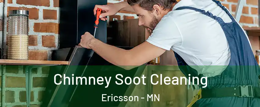Chimney Soot Cleaning Ericsson - MN