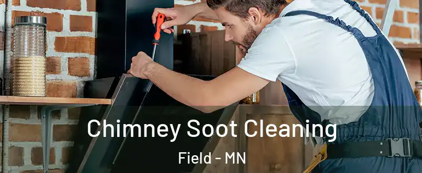 Chimney Soot Cleaning Field - MN