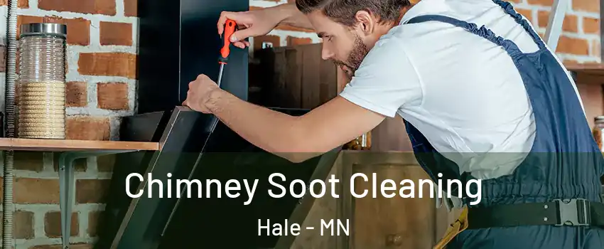 Chimney Soot Cleaning Hale - MN