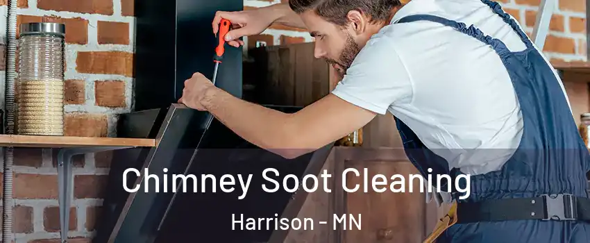 Chimney Soot Cleaning Harrison - MN