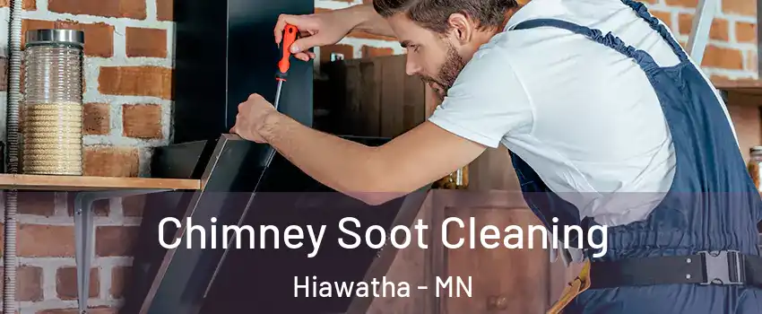 Chimney Soot Cleaning Hiawatha - MN