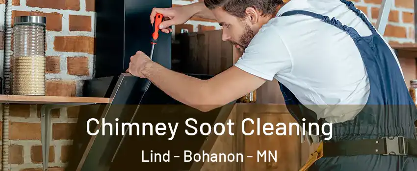 Chimney Soot Cleaning Lind - Bohanon - MN