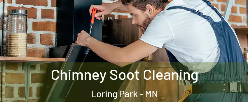 Chimney Soot Cleaning Loring Park - MN