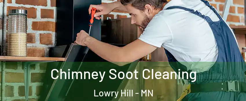 Chimney Soot Cleaning Lowry Hill - MN