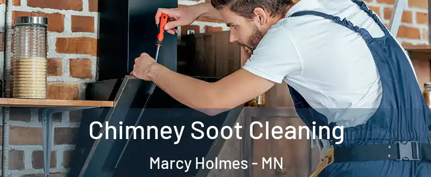 Chimney Soot Cleaning Marcy Holmes - MN