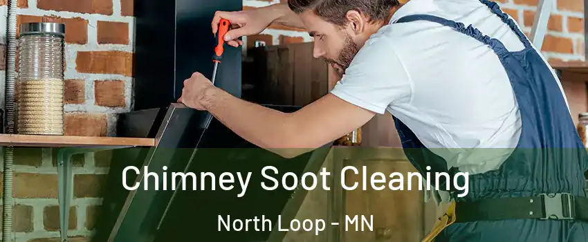 Chimney Soot Cleaning North Loop - MN