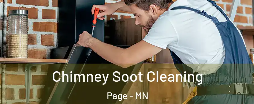 Chimney Soot Cleaning Page - MN