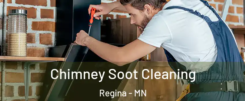 Chimney Soot Cleaning Regina - MN