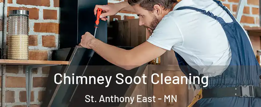 Chimney Soot Cleaning St. Anthony East - MN