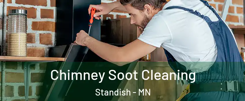 Chimney Soot Cleaning Standish - MN