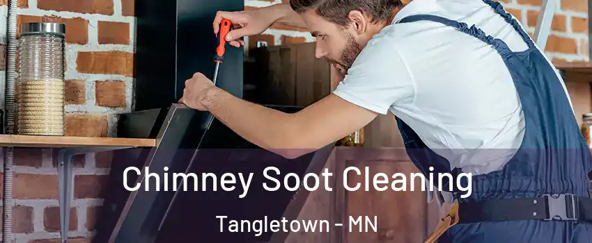Chimney Soot Cleaning Tangletown - MN