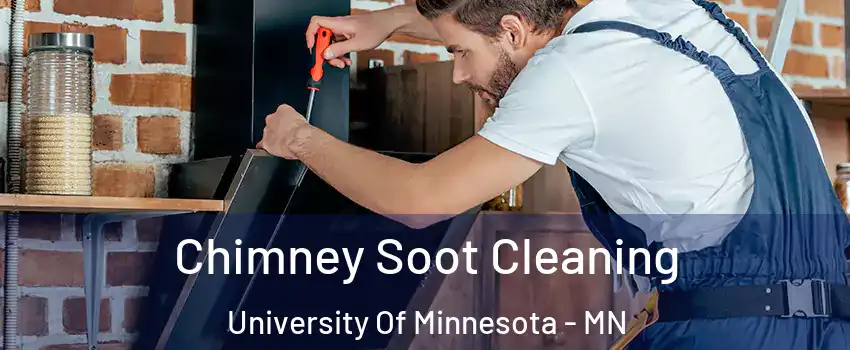 Chimney Soot Cleaning University Of Minnesota - MN