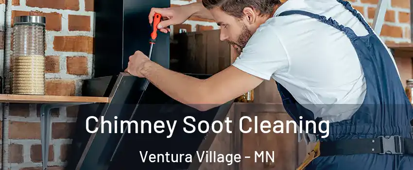 Chimney Soot Cleaning Ventura Village - MN