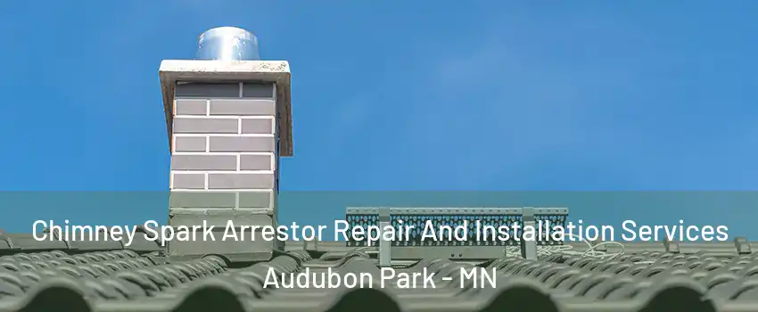 Chimney Spark Arrestor Repair And Installation Services Audubon Park - MN