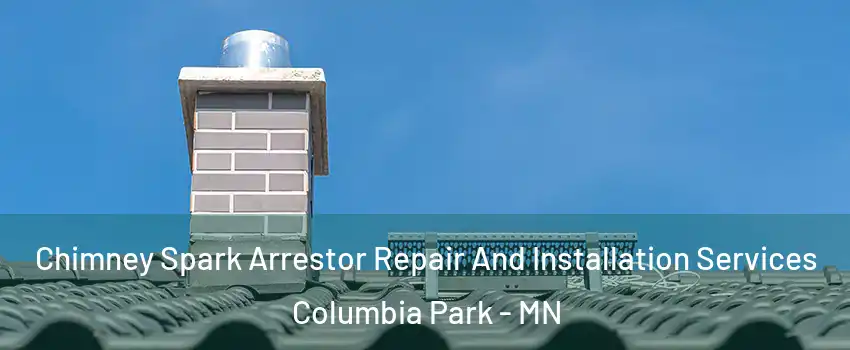 Chimney Spark Arrestor Repair And Installation Services Columbia Park - MN