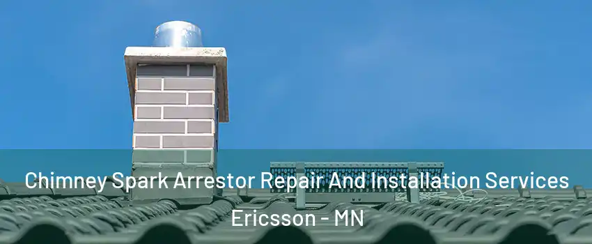 Chimney Spark Arrestor Repair And Installation Services Ericsson - MN