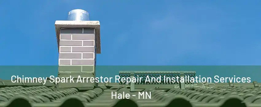 Chimney Spark Arrestor Repair And Installation Services Hale - MN