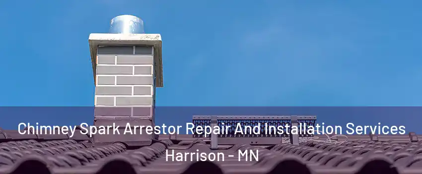 Chimney Spark Arrestor Repair And Installation Services Harrison - MN